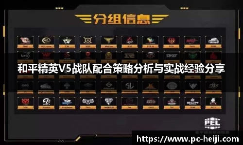 和平精英V5战队配合策略分析与实战经验分享